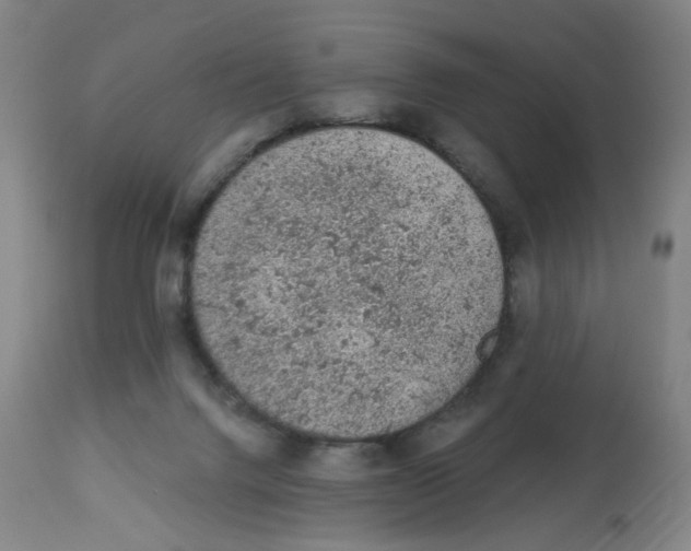 X0000112780072200909171346