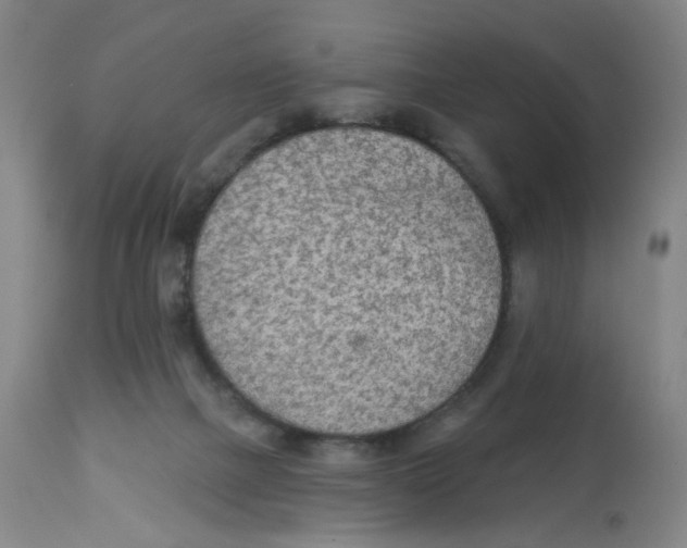 X0000112780073200909171346