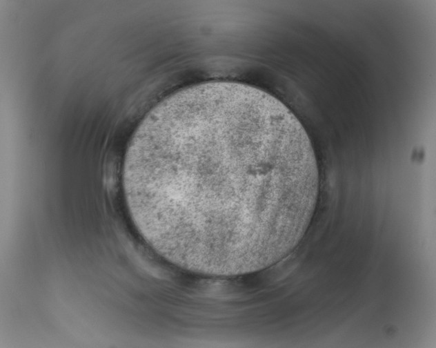 X0000112780074200909171346