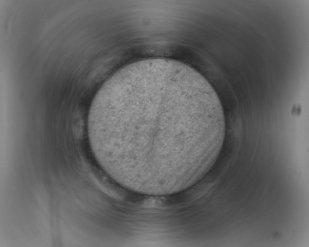 X0000112780080200909171346