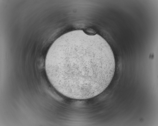 X0000112780081200909171346