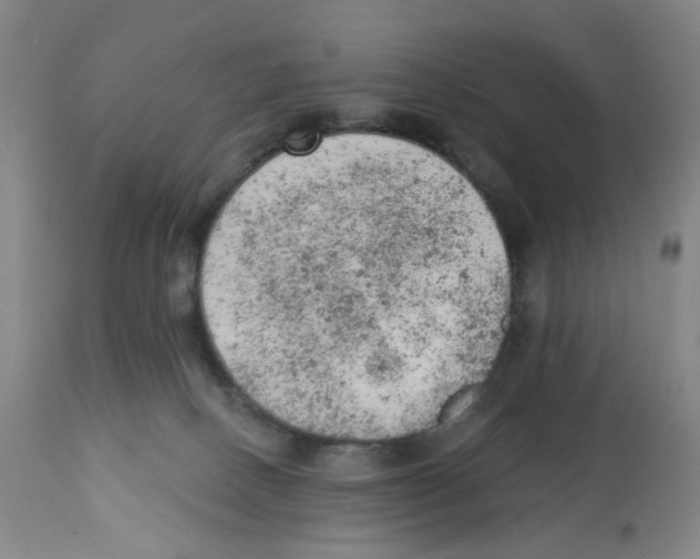 X0000112780082200909171346