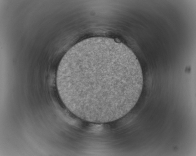 X0000112780083200909171346