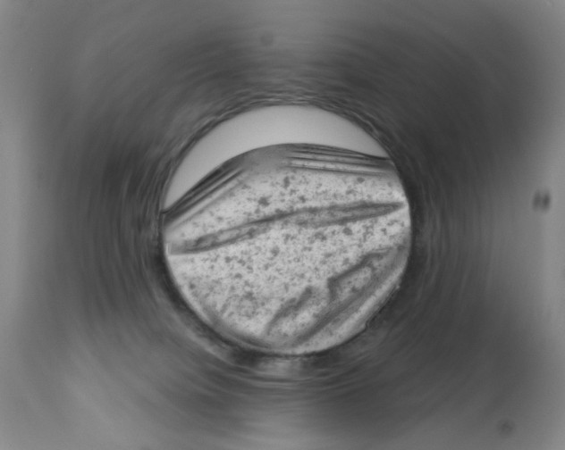 X0000112780084200909171346