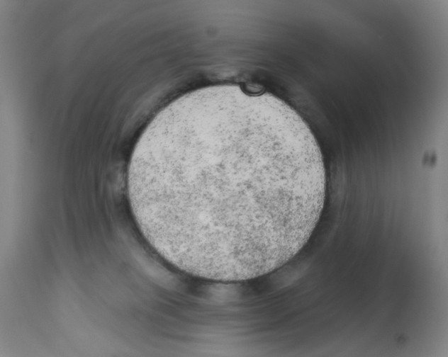 X0000112780085200909171346