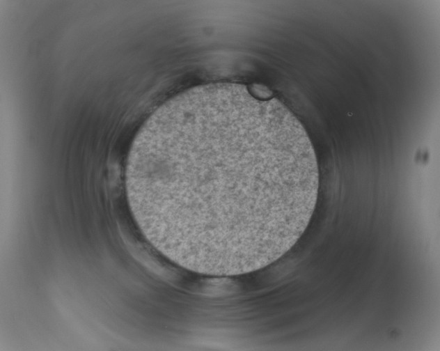 X0000112780087200909171346