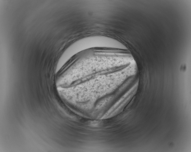 X0000112780088200909171346