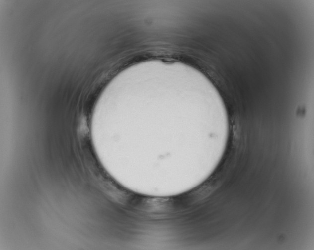 X0000112780089200909171346