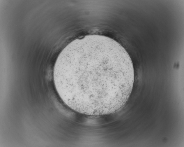 X0000112780090200909171346