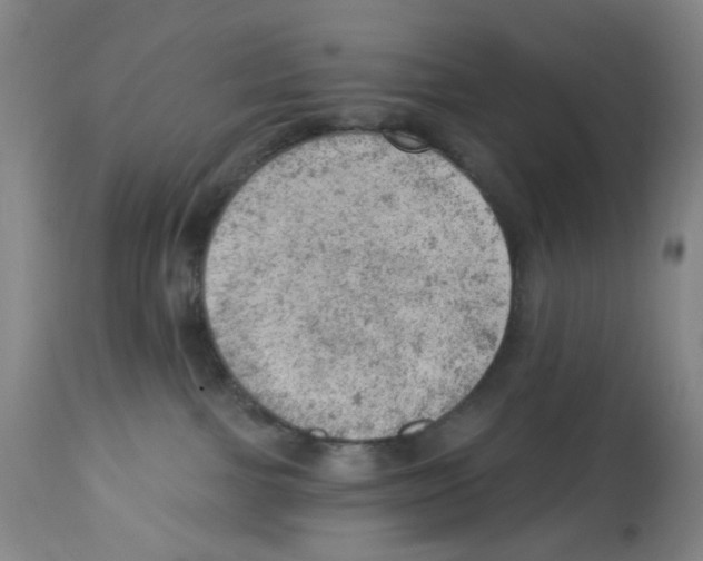 X0000112780091200909171346