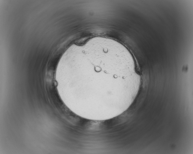 X0000112780093200909171347