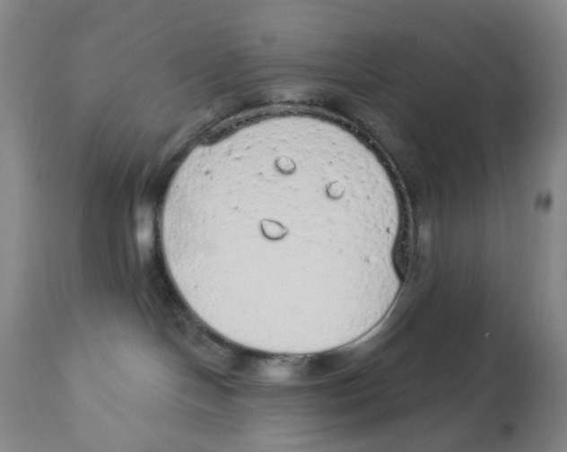 X0000112780094200909171347