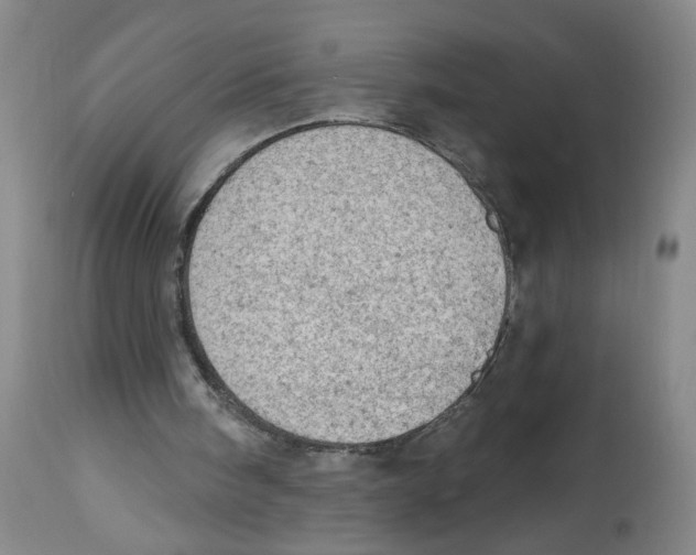 X0000112780098200909171346