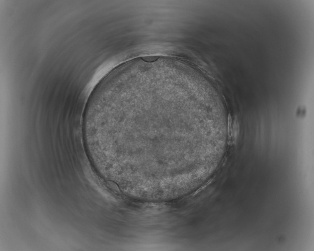 X0000112780099200909171346