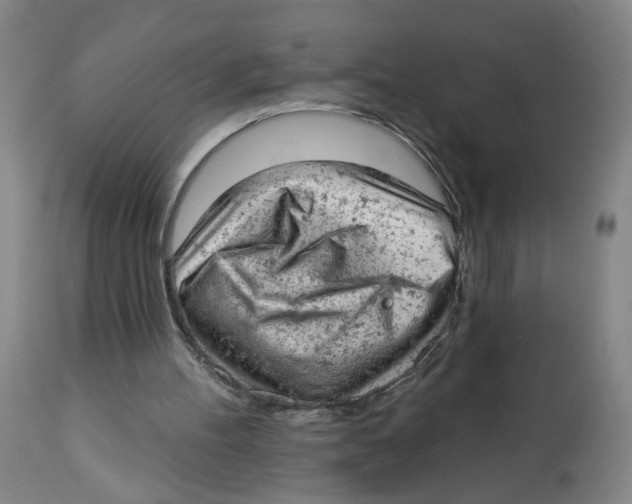 X0000112780100200909171346