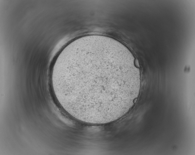 X0000112780102200909171346