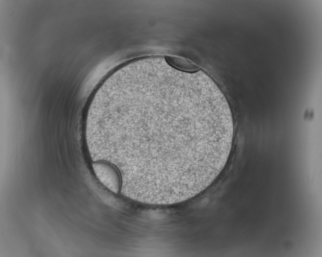 X0000112780103200909171346