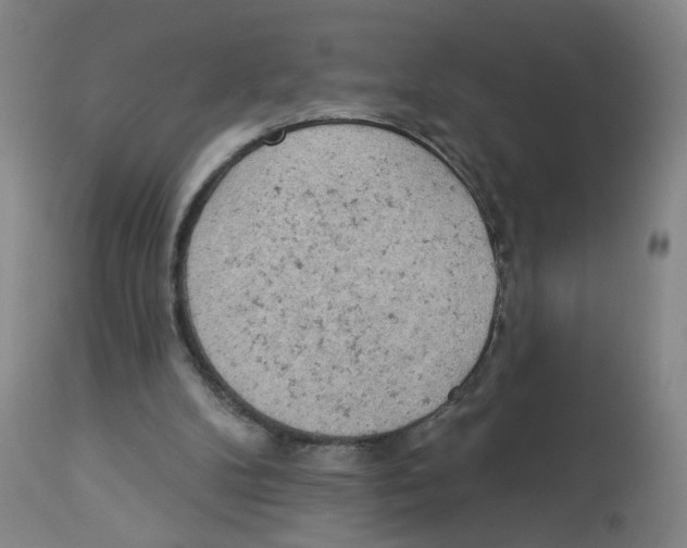 X0000112780104200909171346