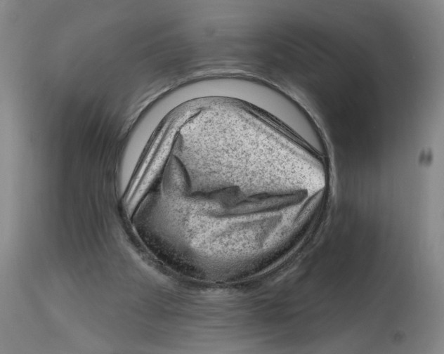 X0000112780105200909171346