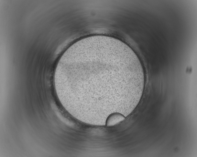 X0000112780106200909171346