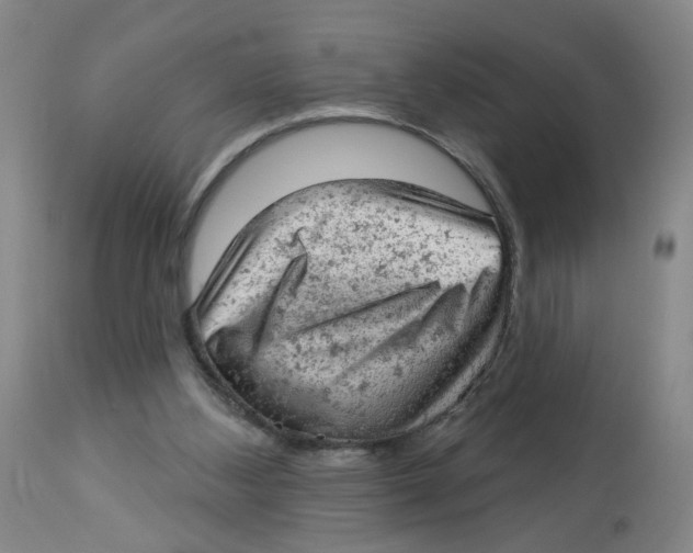 X0000112780108200909171346