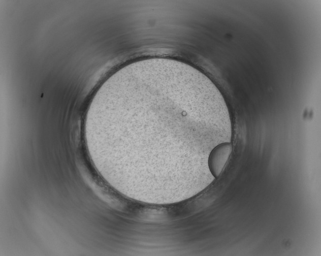 X0000112780110200909171346