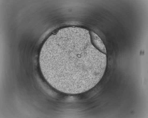 X0000112780111200909171346