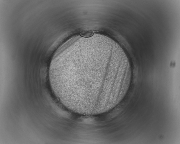 X0000112780113200909171346