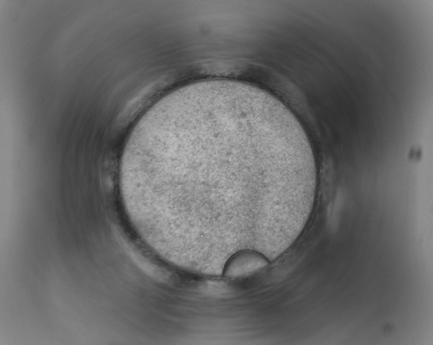 X0000112780114200909171346