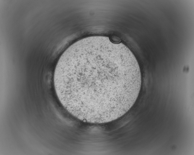 X0000112780115200909171346