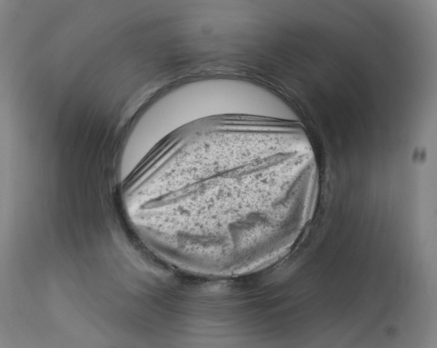 X0000112780116200909171346