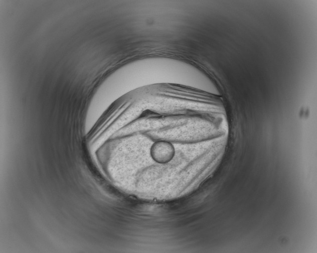 X0000112780117200909171346