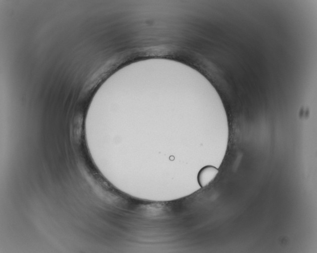 X0000112780118200909171346