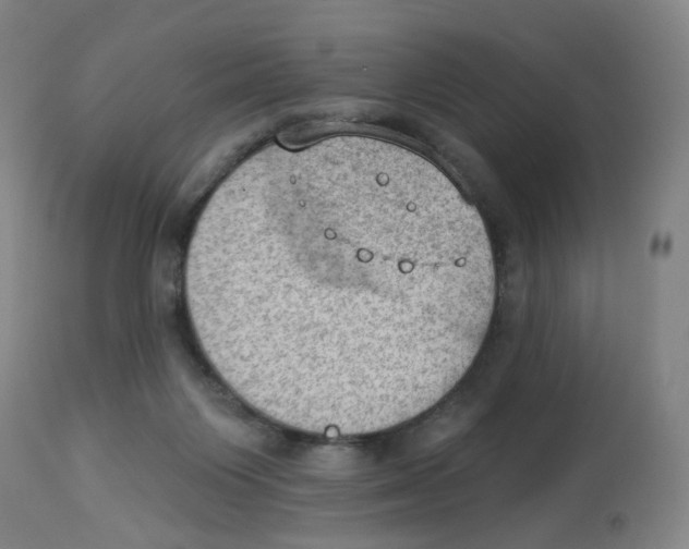 X0000112780119200909171346