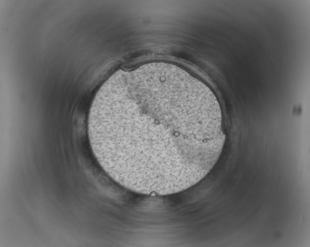 X0000112780123200909171346