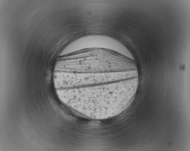 X0000112780124200909171346