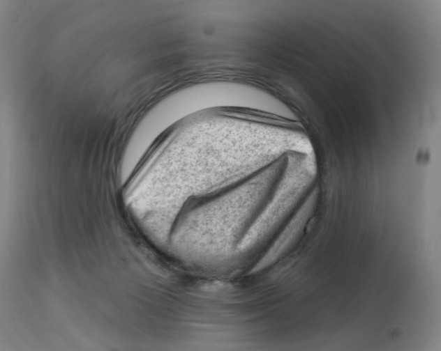 X0000112780125200909171346