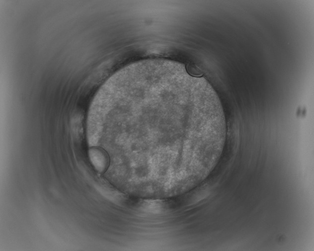 X0000112780127200909171345