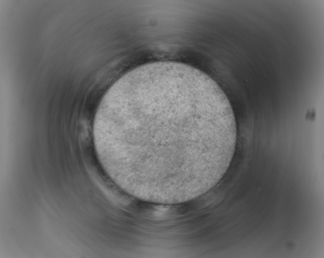 X0000112780130200909171345