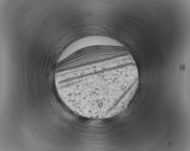 X0000112780132200909171345