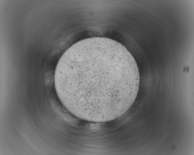 X0000112780134200909171345