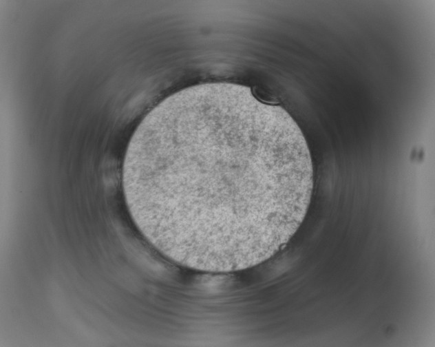 X0000112780135200909171345