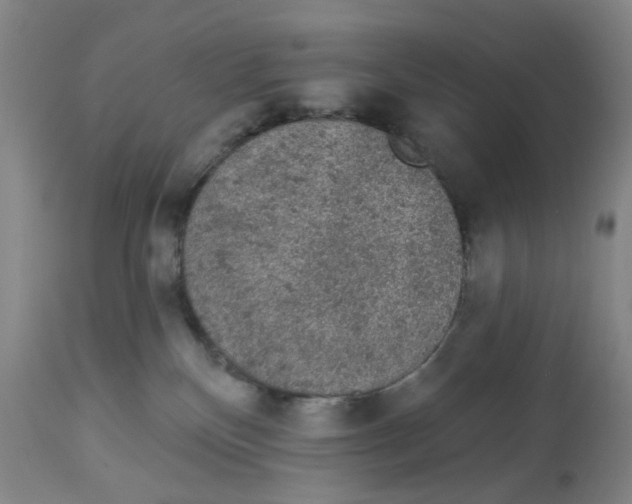 X0000112780136200909171345