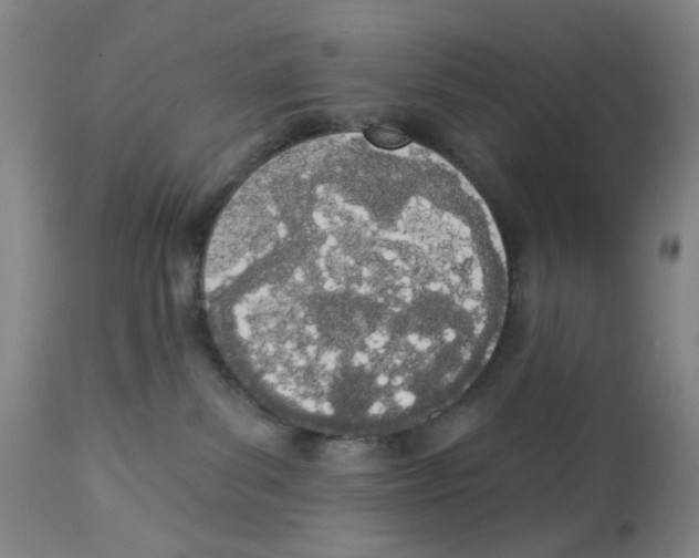 X0000112780139200909171345