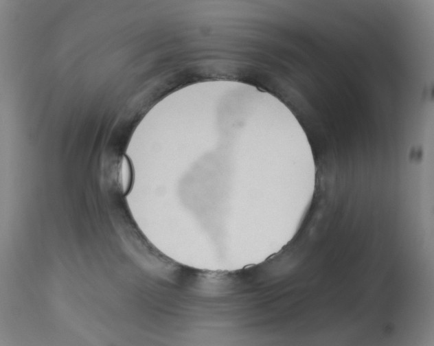 X0000112780141200909171345