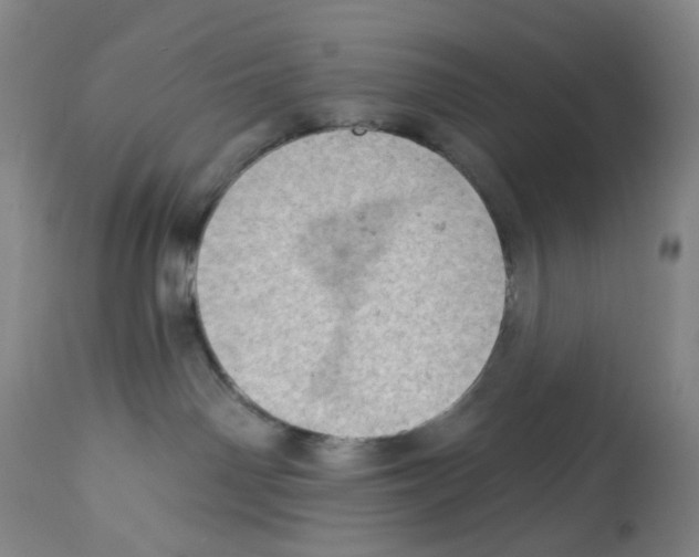 X0000112780142200909171345