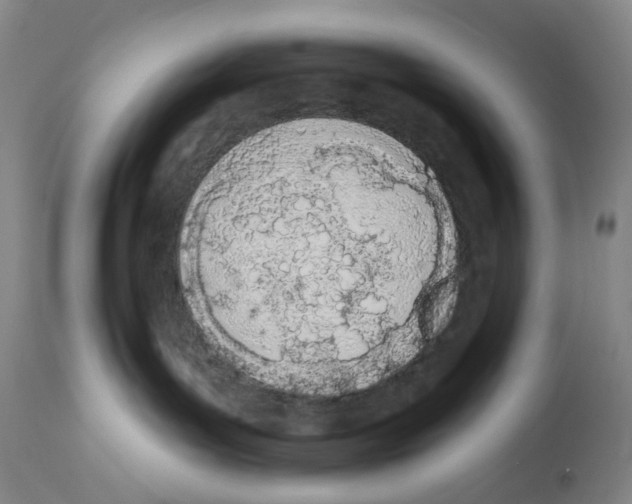 X0000112780143200909171345