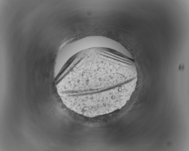 X0000112780144200909171345