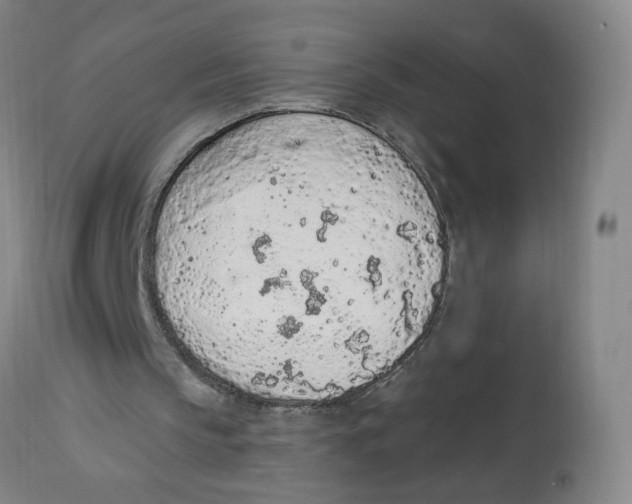 X0000112780145200909171344