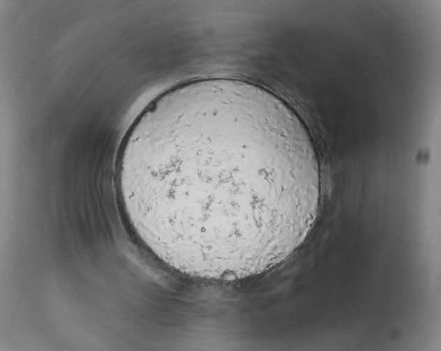 X0000112780147200909171344